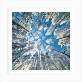 Snowy Forest 6 Art Print