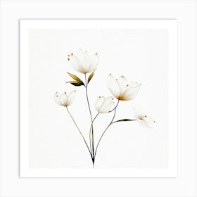 plant minimalist 6 Art Print