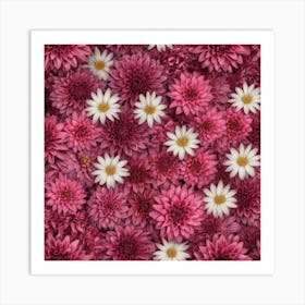 Pink Dahlias Art Print