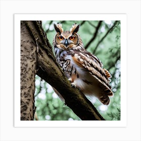 Owl In The Forest 12 Art Print