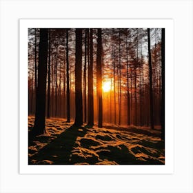 Sunrise In The Forest 3 Art Print