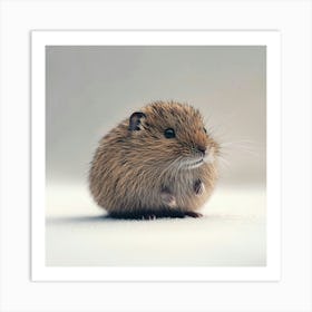 Hamster 1 Art Print