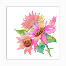 Watercolor Pink Sunflowers Art Print