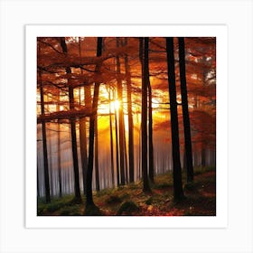 Sunset In The Forest 23 Art Print