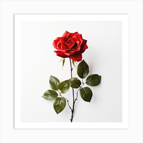 Single Red Rose On White Background Art Print