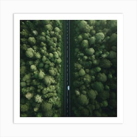 Aerial View Of A Forest Road Art Print