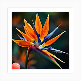 Bird Of Paradise Art Print