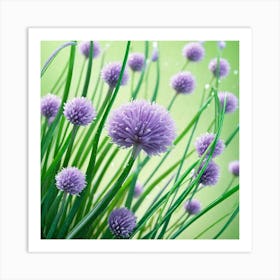 Chives 8 Art Print