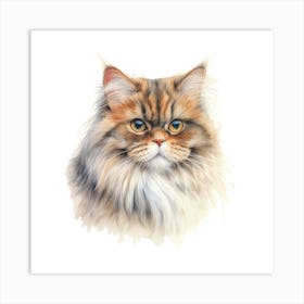 British Longhair Cat Portrait 2 Art Print