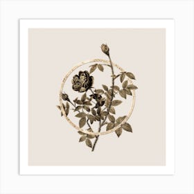 Gold Ring Moss Rose Glitter Botanical Illustration n.0011 Art Print
