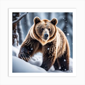 Brown Bear In The Snow Art Print