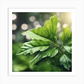 Green Leaf 2 Art Print