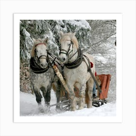 Two Horses Pulling A Sleigh Art Print