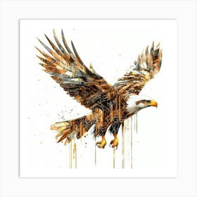 Bald Eagle Poster