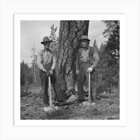 Grant County, Oregon, Malheur National Forest, Lumberjack Starting The Undercut By Russell Lee 2 Art Print