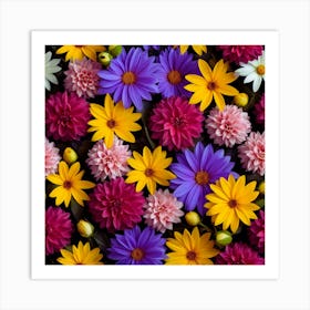 Colorful Dahlias 1 Art Print