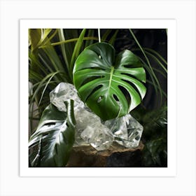 Monstera Leaves And Crystals Art Print