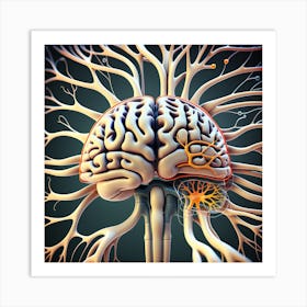 Brain And Nervous System 19 Art Print