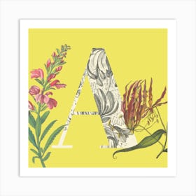 Botanical A Art Print