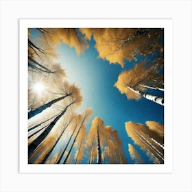 Birch Trees 22 Art Print