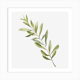 Olive Branch Isolated On Black Art Print