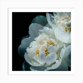 Peonies Aquatic With Overlapping Elements And Unde Art Print