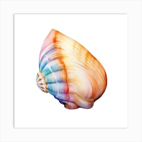 Colorful Sea Shell Art Print