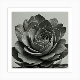 Black And White Flower Art Print