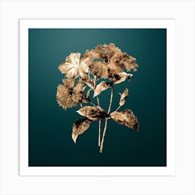 Gold Botanical Lychnis Grandiflora on Dark Teal n.4079 Art Print