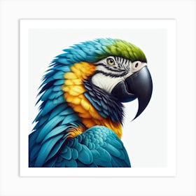 Macaw 1 Art Print