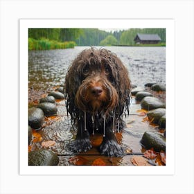 Wet Dog In The Rain Art Print