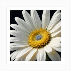 Daisy 4 Art Print