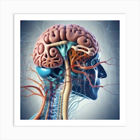 Human Brain And Nervous System 16 Art Print