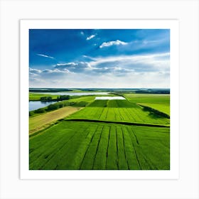 Grass Peace Air Structure Pasture Soy Bean High Country Rural Green Farm Overhead Natur (8) Art Print