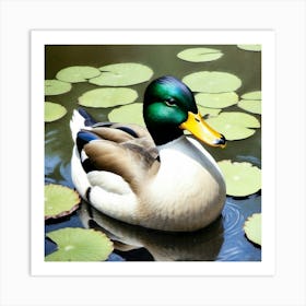 Mallard Duck 6 Art Print