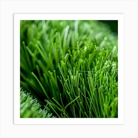 Close Up Of Artificial Grass Art Print