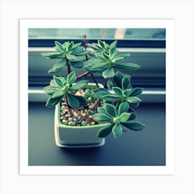 Houseplant Pot Sill Wallpaper 1024x1024 Art Print