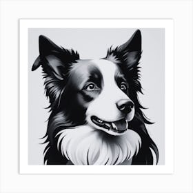 Border Collie Black and White Art Print