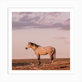 Grey Horse In Pastel Sunset Art Print