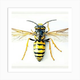 Wasp Art Art Print