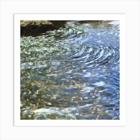 Stream Water Art Print