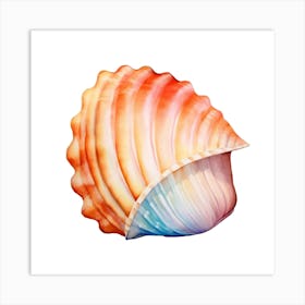 Sea Shell 5 Art Print