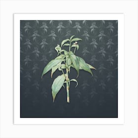Vintage Commelina Zanonia Botanical on Slate Gray Pattern n.2414 Art Print