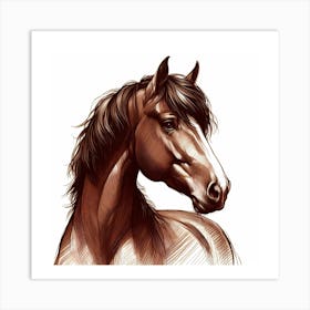 Horse Head Drawing 4 Art Print