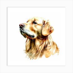 Golden Retriever 2 Art Print