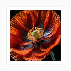 Ethereal poppy flower 9 Art Print