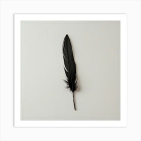 Black Feather 1 Art Print