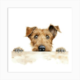 Irish Terrier 9 Art Print