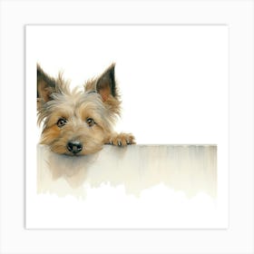 Yorkshire Terrier 3 Art Print