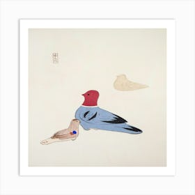 Pigeons Art Print